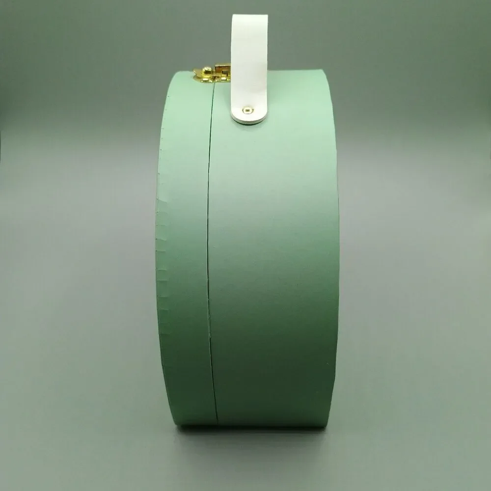 Small Novelty Suitcase Mint Green Palm Motel Target Bullseye Playground 2024